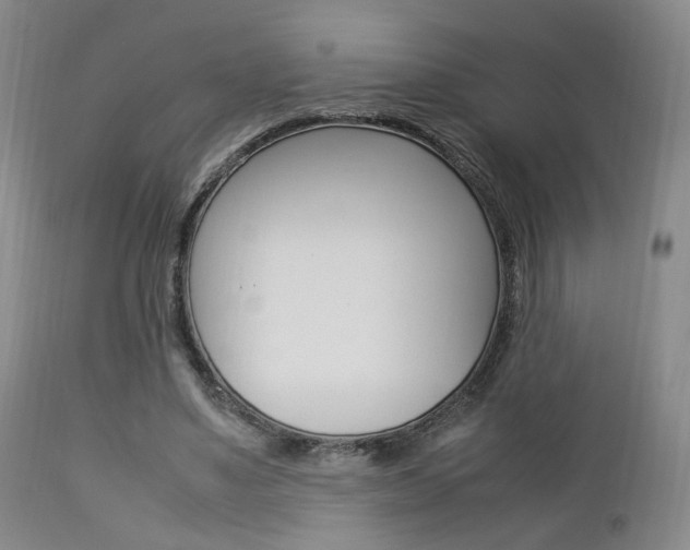 X0000112850491200908211034