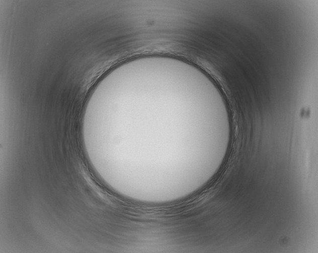 X0000112850493200908211034