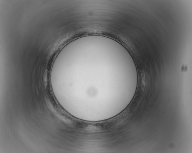 X0000112850494200908211034