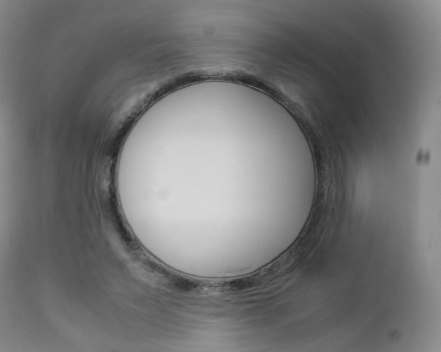 X0000112850495200908211034