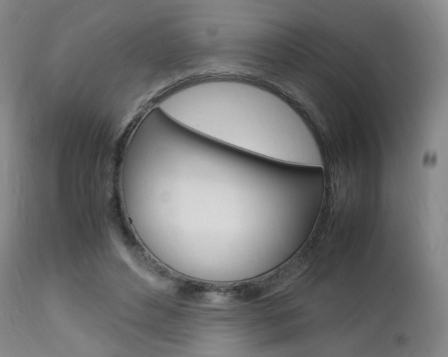 X0000112850496200908211034