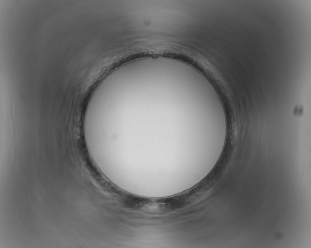 X0000112850497200908211034