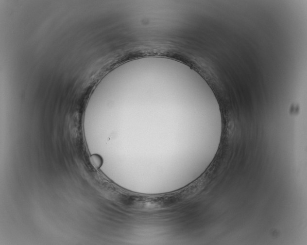 X0000112850498200908211034