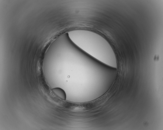 X0000112850500200908211034