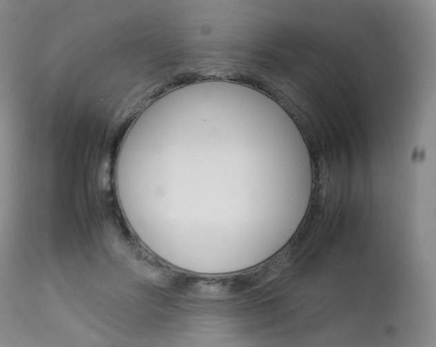X0000112850502200908211034