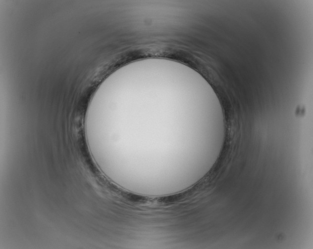 X0000112850503200908211034