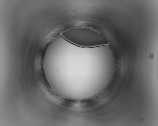 X0000112850504200908211034