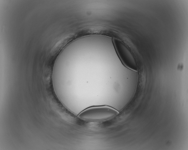 X0000112850505200908211034
