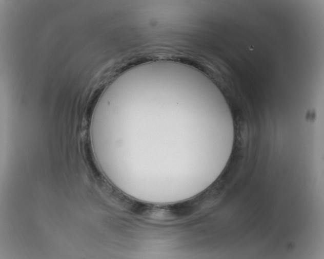 X0000112850507200908211034