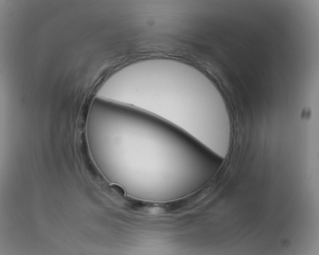 X0000112850509200908211034