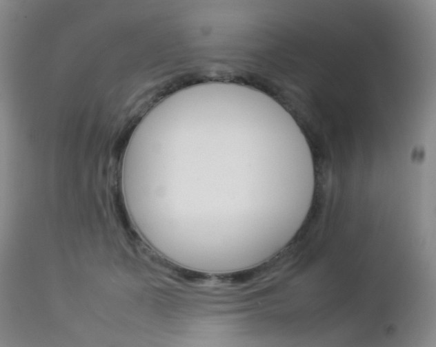 X0000112850511200908211034