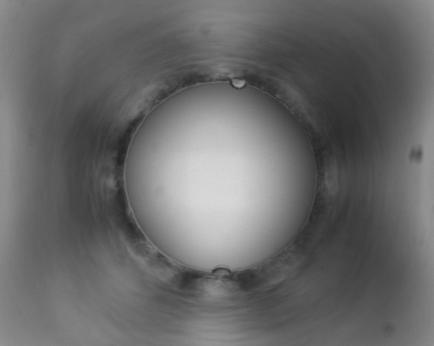 X0000112850512200908211034