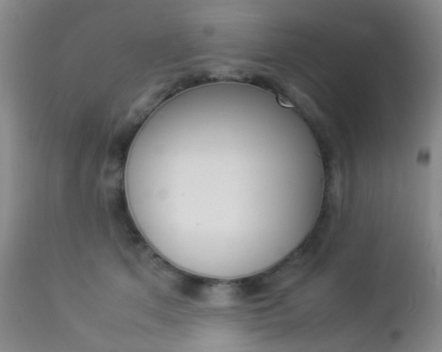 X0000112850513200908211034