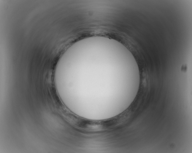 X0000112850514200908211034