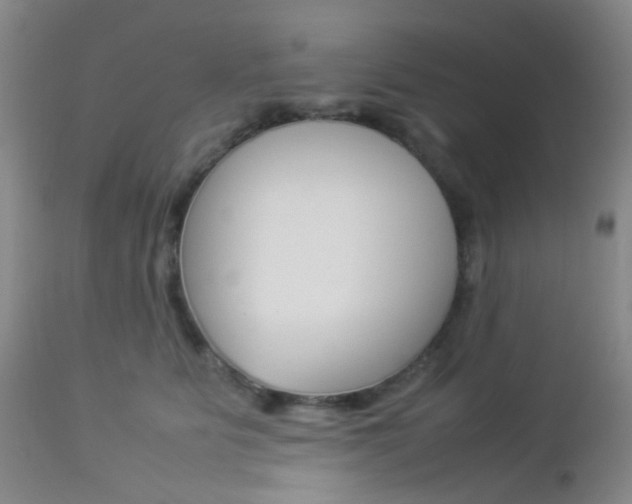 X0000112850515200908211034