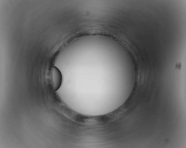 X0000112850516200908211034