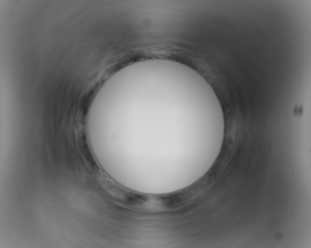X0000112850518200908211034