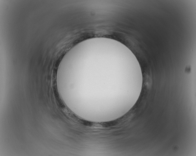 X0000112850519200908211034