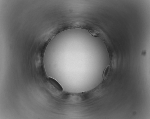 X0000112850520200908211033