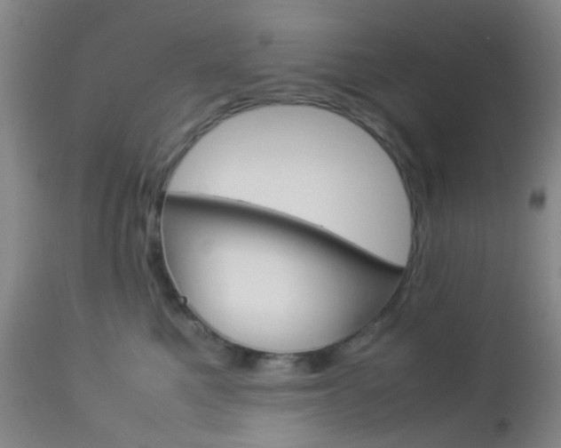 X0000112850521200908211033