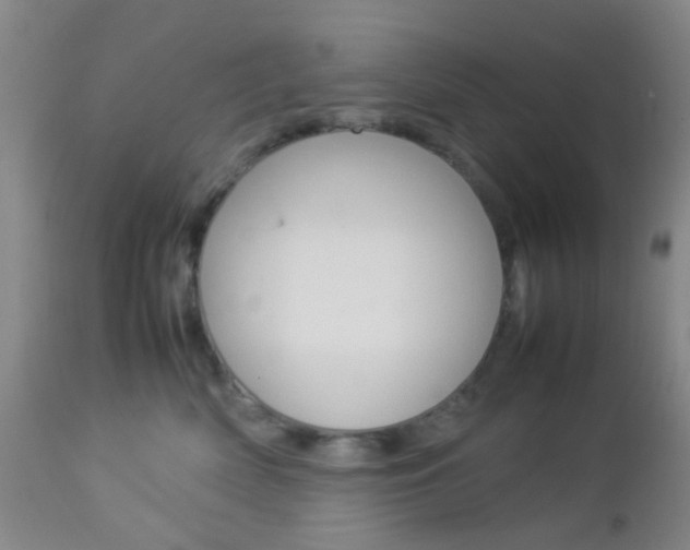 X0000112850522200908211033