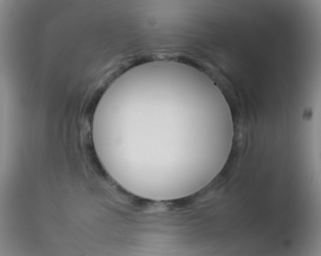 X0000112850523200908211033