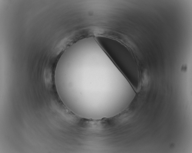 X0000112850524200908211033