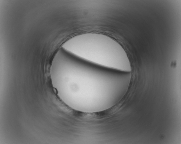 X0000112850525200908211033