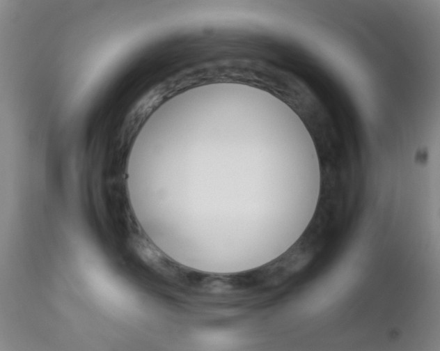 X0000112850526200908211033