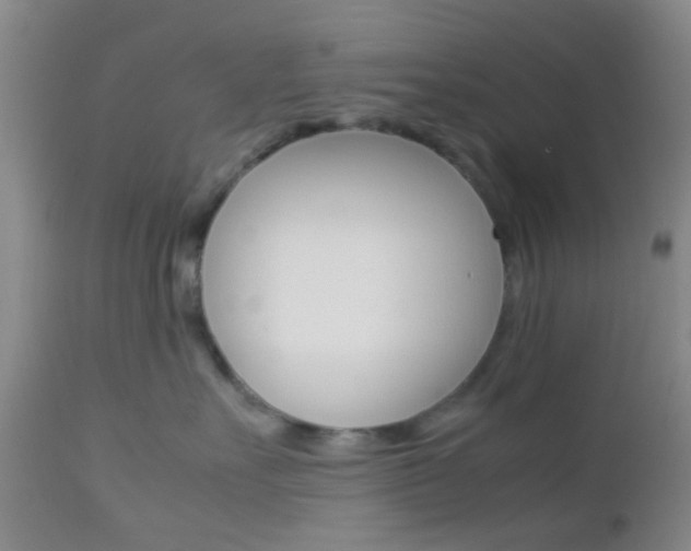 X0000112850527200908211033