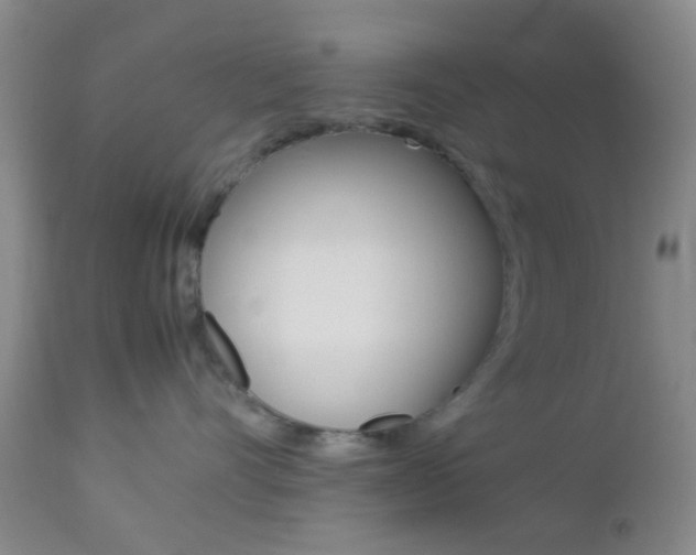 X0000112850528200908211033