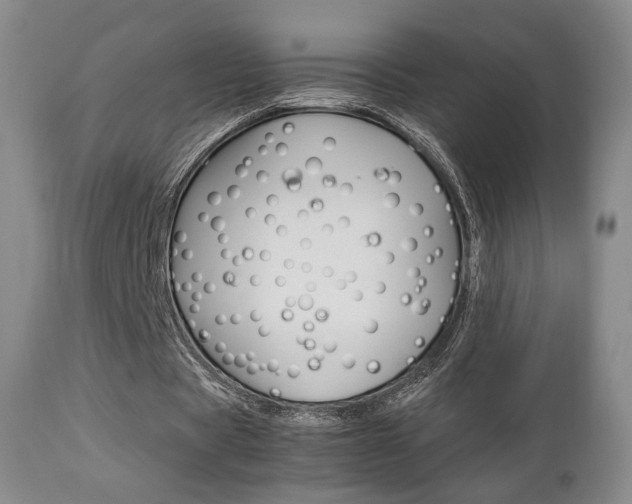 X0000112850529200908211033