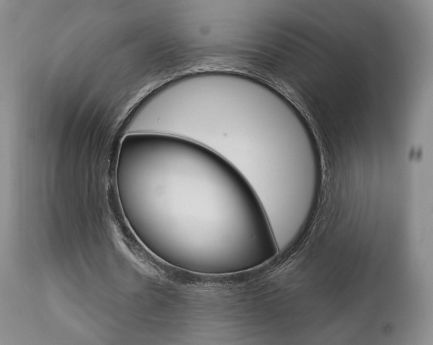 X0000112850530200908211033
