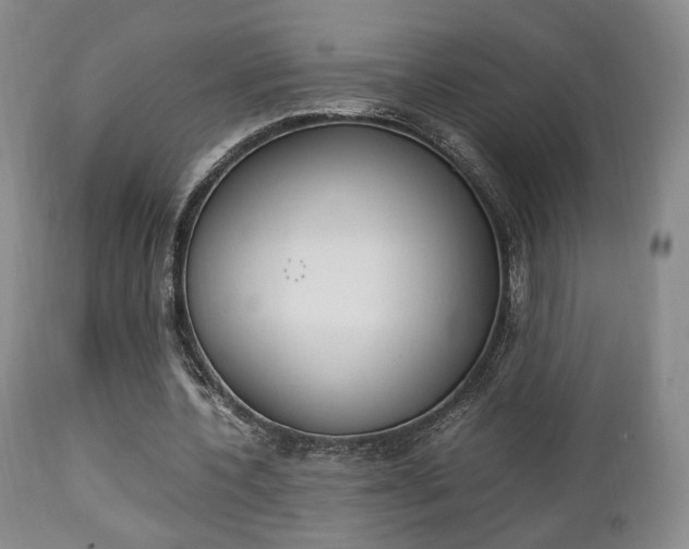 X0000112850532200908211033
