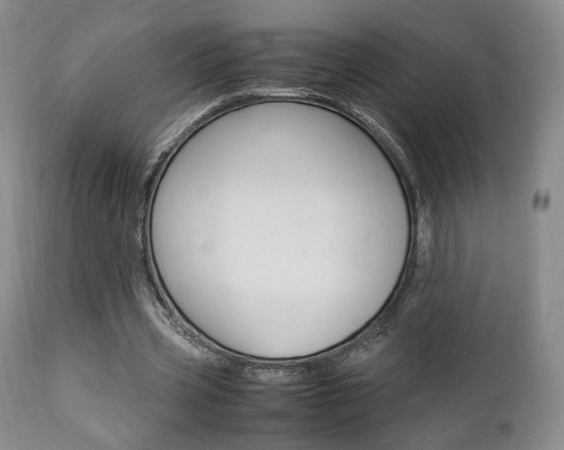 X0000112850533200908211033
