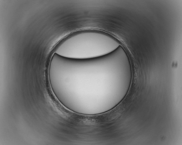X0000112850535200908211033