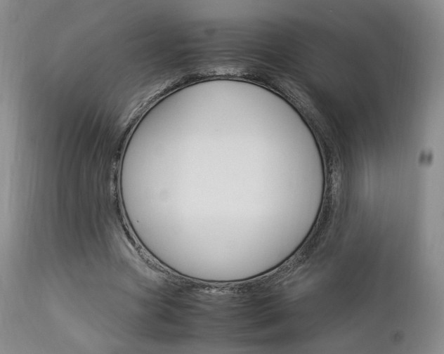 X0000112850537200908211033