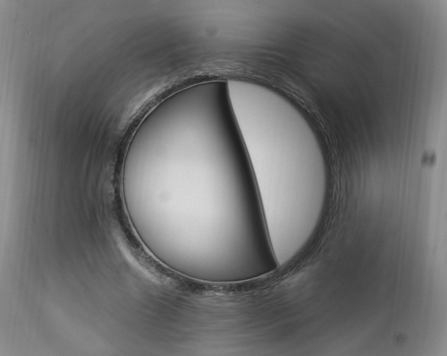 X0000112850538200908211033