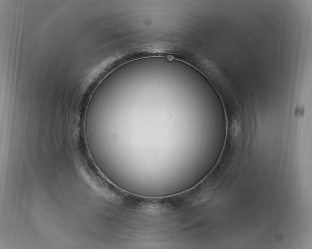 X0000112850540200908211033