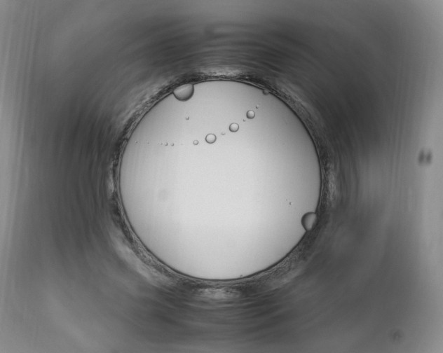 X0000112850541200908211033