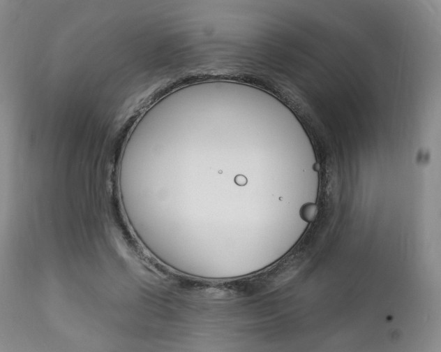 X0000112850542200908211033