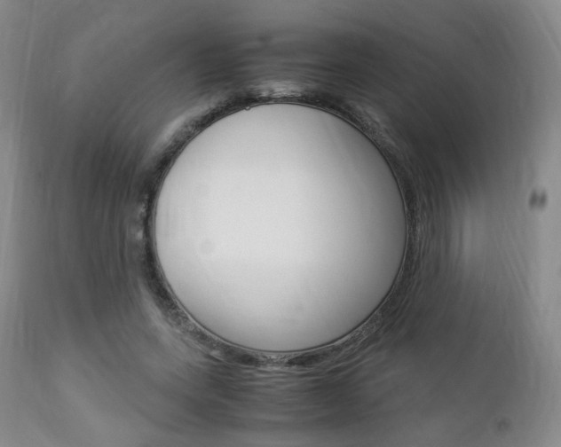 X0000112850543200908211033