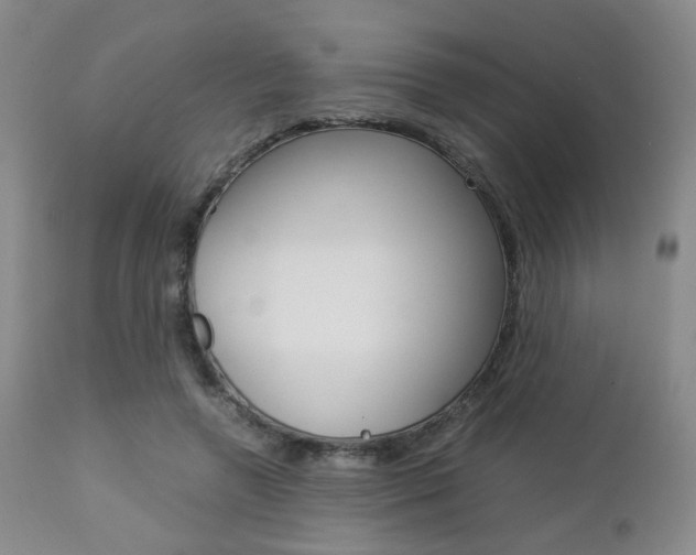 X0000112850546200908211033