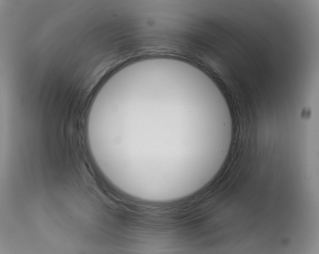 X0000112850548200908211033