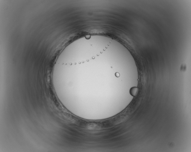 X0000112850549200908211033