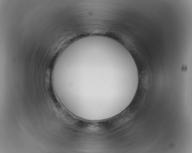 X0000112850550200908211033