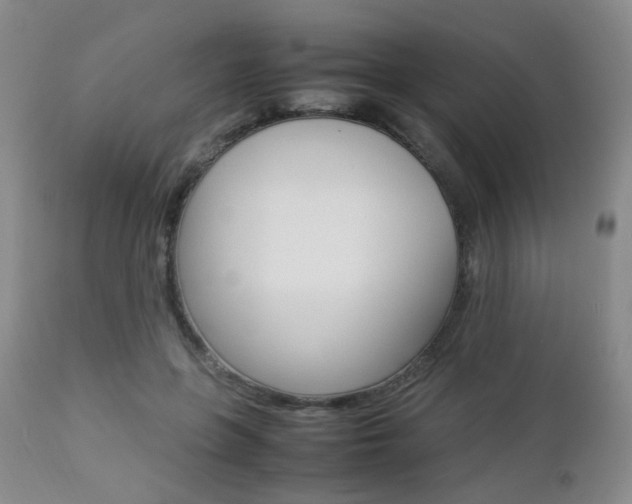 X0000112850551200908211033