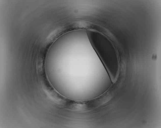 X0000112850552200908211033