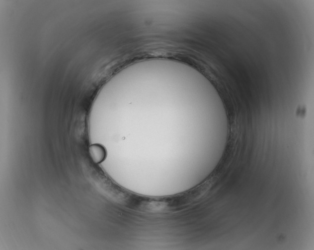 X0000112850554200908211033