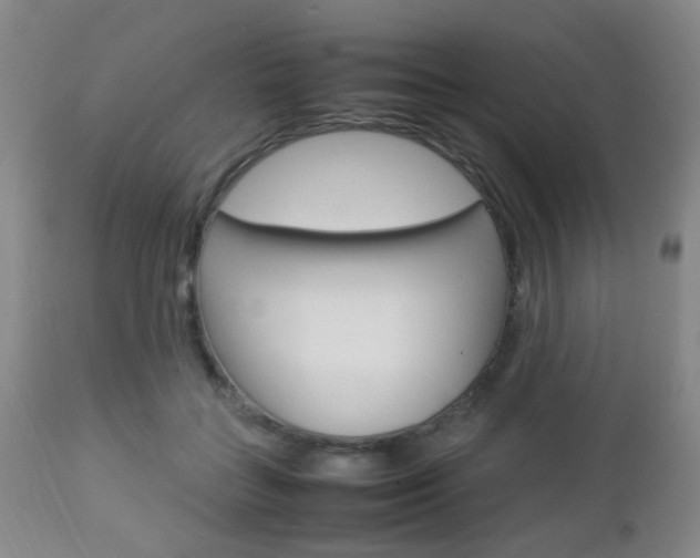 X0000112850555200908211033
